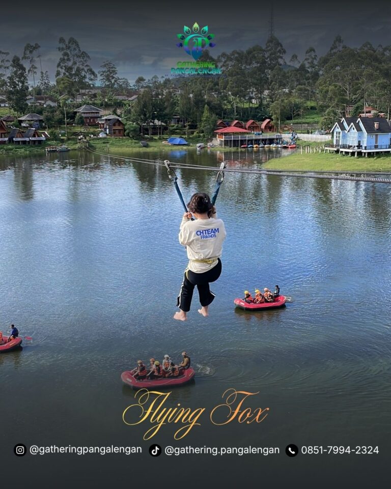 Flying fox